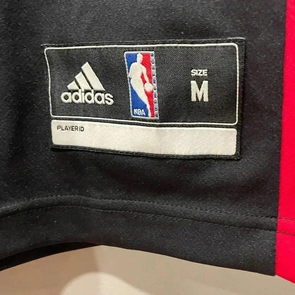 Toronto Raptors Amir Johnson Jersey #15 - Picture 4 of 9